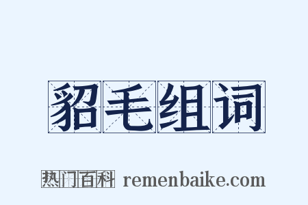 貂毛组词是什么意思的图片